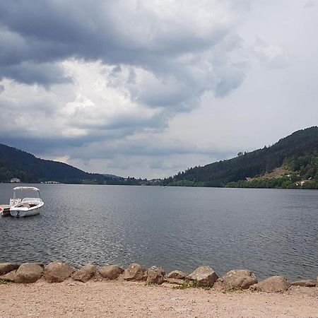 Gerardmer La Villa De Corcieux Extérieur photo