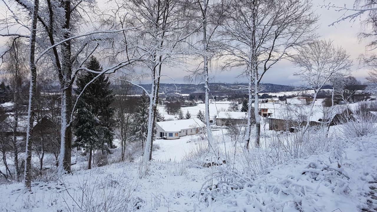 Gerardmer La Villa De Corcieux Extérieur photo